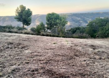 Foto 4 - Terreno agricolo Strada Comunale Montesecco, Grottammare - foto 4