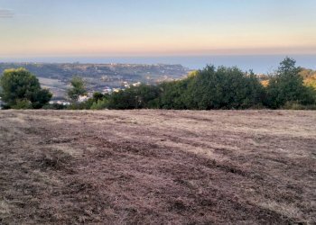 Foto 5 - Terreno agricolo Strada Comunale Montesecco, Grottammare - foto 5