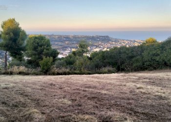 Foto 6 - Terreno agricolo Strada Comunale Montesecco, Grottammare - foto 6