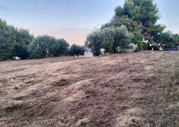 Foto 7 - Terreno agricolo Strada Comunale Montesecco, Grottammare - foto 7