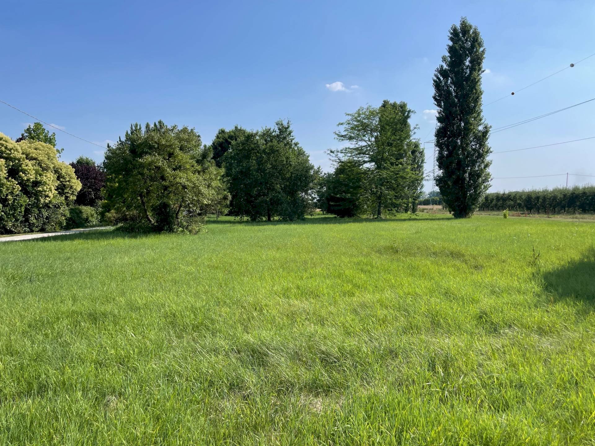 Foto 2 - Terreno edificabile Via Alceste Ricciarelli, Ferrara - foto 2