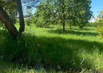 Foto 10 - Terreno edificabile Via Alceste Ricciarelli, Ferrara - foto 10