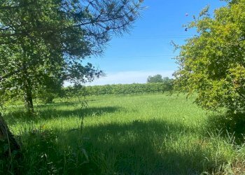 Foto 11 - Terreno edificabile Via Alceste Ricciarelli, Ferrara - foto 11