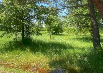 Foto 12 - Terreno edificabile Via Alceste Ricciarelli, Ferrara - foto 12