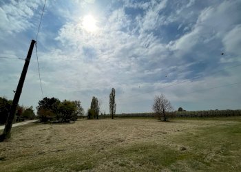 Foto 19 - Terreno edificabile Via Alceste Ricciarelli, Ferrara - foto 19