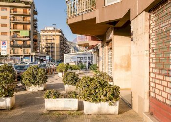 Ingresso stabile - Quadrilocale Via Sardegna
 
66, Palermo - foto 23