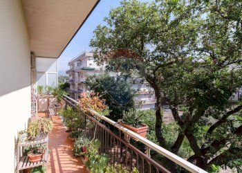 Balcone - Trilocale Via Duca degli Abruzzi
 
163, San Giovanni la Punta - foto 8