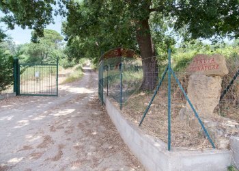 Giardino - Terreno agricolo contrada leano, Piazza Armerina - foto 23