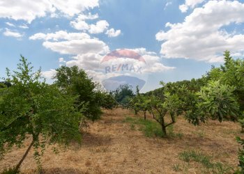 Giardino - Terreno agricolo contrada leano, Piazza Armerina - foto 30