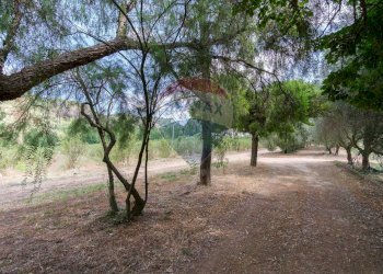 Giardino - Terreno agricolo contrada leano, Piazza Armerina - foto 33