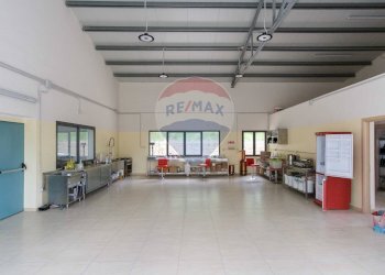 Parcheggio - Terreno agricolo contrada leano, Piazza Armerina - foto 38