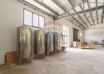 Non correlato - Terreno agricolo contrada leano, Piazza Armerina - foto 48