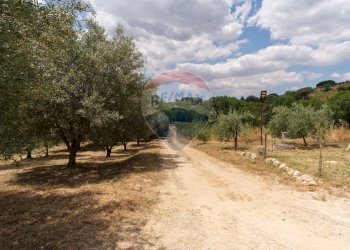 Giardino - Terreno agricolo contrada leano, Piazza Armerina - foto 62