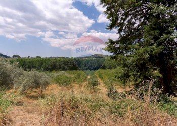 Vista delle montagne - Terreno agricolo contrada leano, Piazza Armerina - foto 64