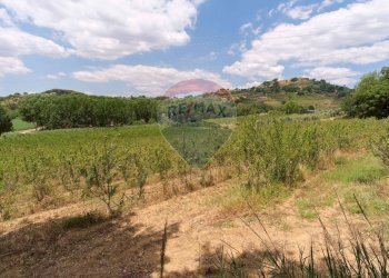 Vista delle montagne - Terreno agricolo contrada leano, Piazza Armerina - foto 66