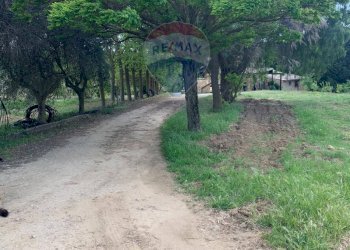 Giardino - Terreno agricolo contrada leano, Piazza Armerina - foto 84