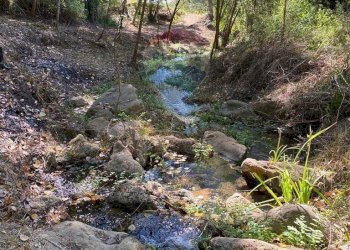 Giardino - Terreno agricolo contrada leano, Piazza Armerina - foto 85