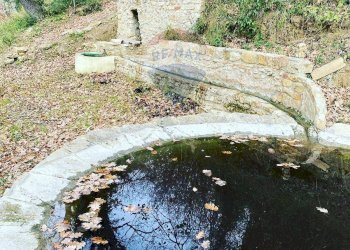 Giardino - Terreno agricolo contrada leano, Piazza Armerina - foto 88