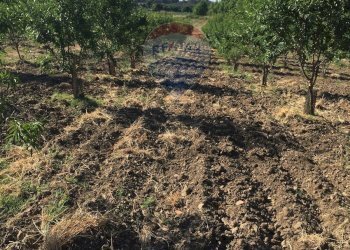 Vista delle montagne - Terreno agricolo contrada leano, Piazza Armerina - foto 91