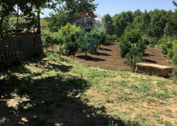 Giardino - Terreno agricolo contrada leano, Piazza Armerina - foto 94