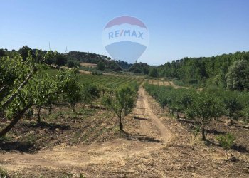 Vista delle montagne - Terreno agricolo contrada leano, Piazza Armerina - foto 95