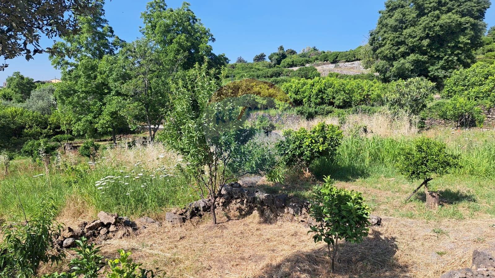 Giardino - Agricultural land Contrada Portosalvo, Mascali - photo 2