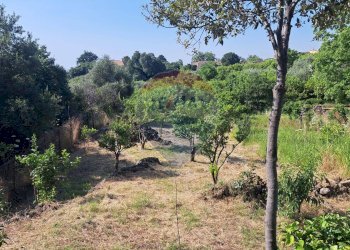 Giardino - Agricultural land Contrada Portosalvo, Mascali - photo 1
