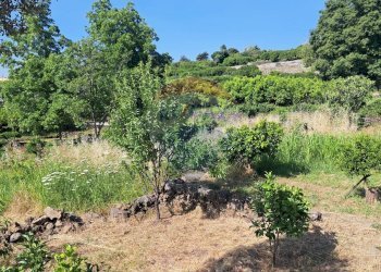 Giardino - Agricultural land Contrada Portosalvo, Mascali - photo 2