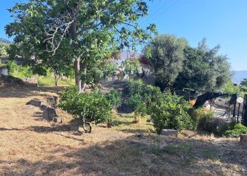 Giardino - Agricultural land Contrada Portosalvo, Mascali - photo 5