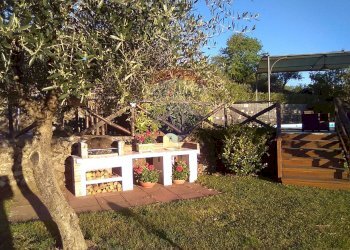 Giardino - Rustico Piedimonte Etneo - foto 29