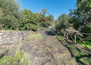 Giardino - Rustico Piedimonte Etneo - foto 32