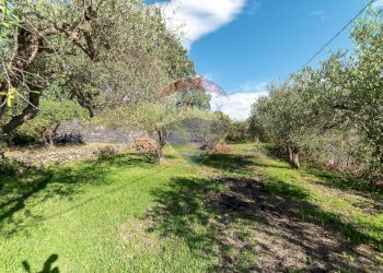 Giardino - Rustico Piedimonte Etneo - foto 52