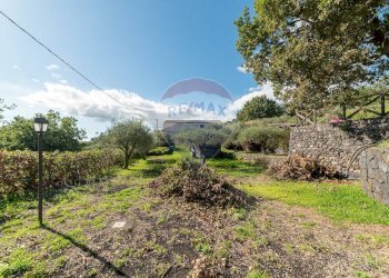 Giardino - Rustico Piedimonte Etneo - foto 53