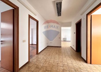 Hall / corridoio - Ufficio Via Mario del Monaco
 
16, Pesaro - foto 10