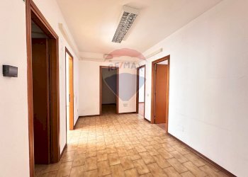 Hall / corridoio - Ufficio Via Mario del Monaco
 
16, Pesaro - foto 33