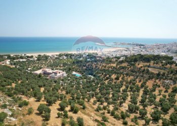 vista mare - Trilocale Contrada Chiesola, Vieste - foto 2