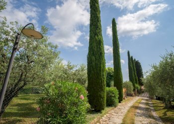 Foto 10 - Rustico Gambassi Terme - foto 10