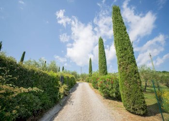 Foto 11 - Rustico Gambassi Terme - foto 11