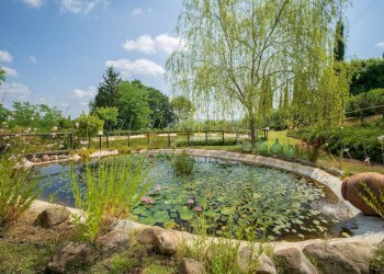 Foto 31 - Rustico Gambassi Terme - foto 31