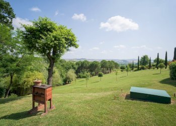 Foto 76 - Rustico Gambassi Terme - foto 76