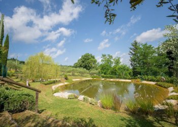 Foto 78 - Rustico Gambassi Terme - foto 78