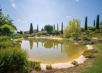 Foto 79 - Rustico Gambassi Terme - foto 79