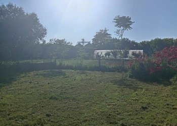 Foto 25 - Casa indipendente via le rene
 
33, Pisa - foto 25