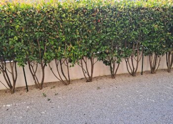 Foto 26 - Appartamento Monfalcone - foto 26