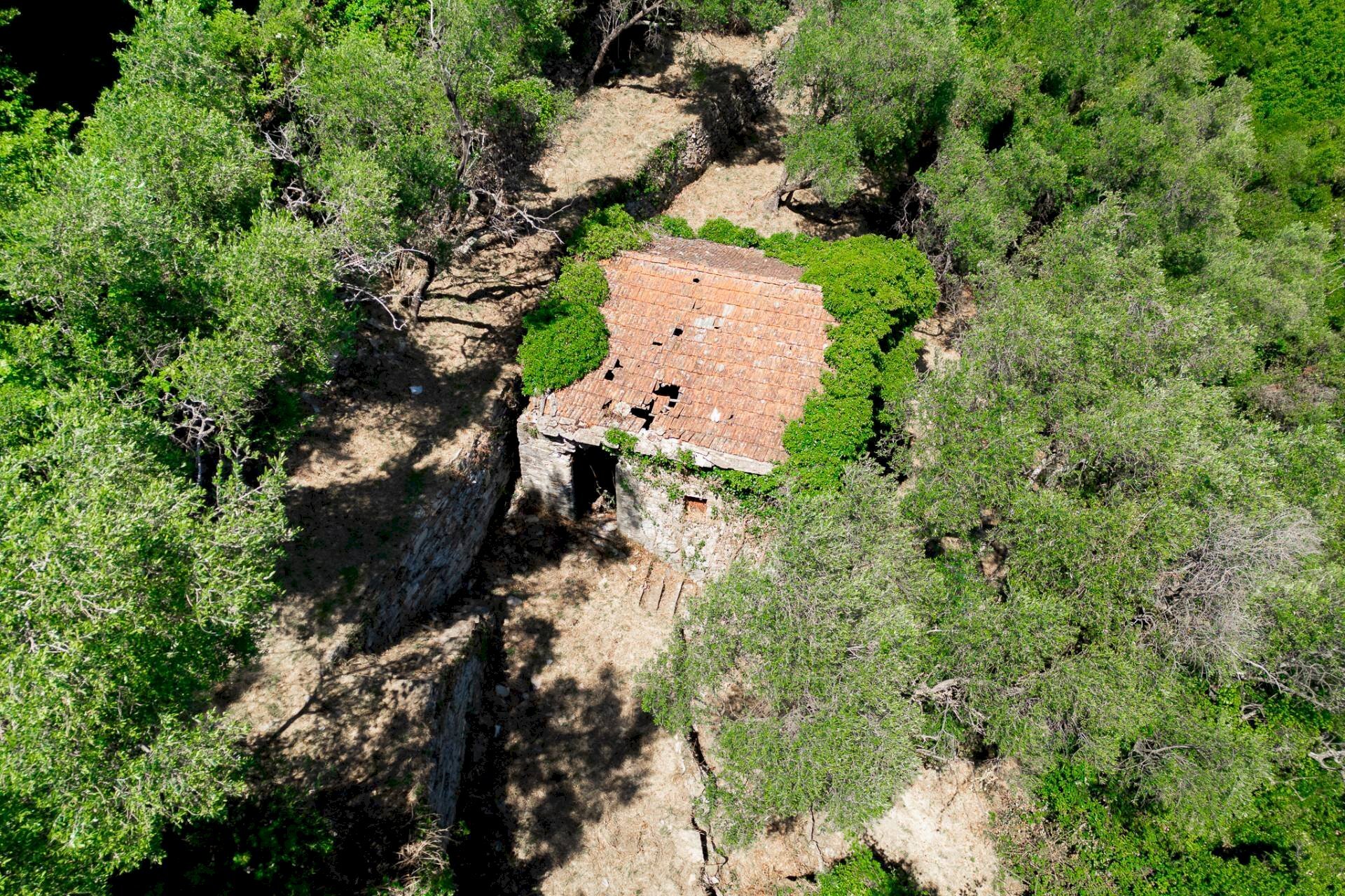 Foto 1 - Rustic via dei lecci, Zoagli - photo 1