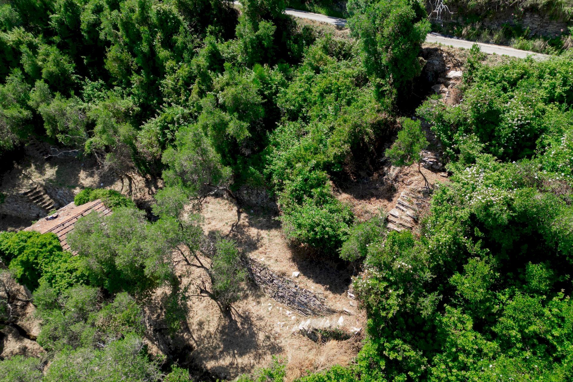 Foto 3 - Rustic via dei lecci, Zoagli - photo 3