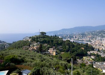 Foto 9 - Villa Salita Montallegro
 
11, Rapallo - foto 9