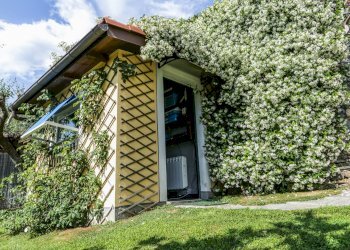 Foto 32 - Villa Salita Montallegro
 
11, Rapallo - foto 32