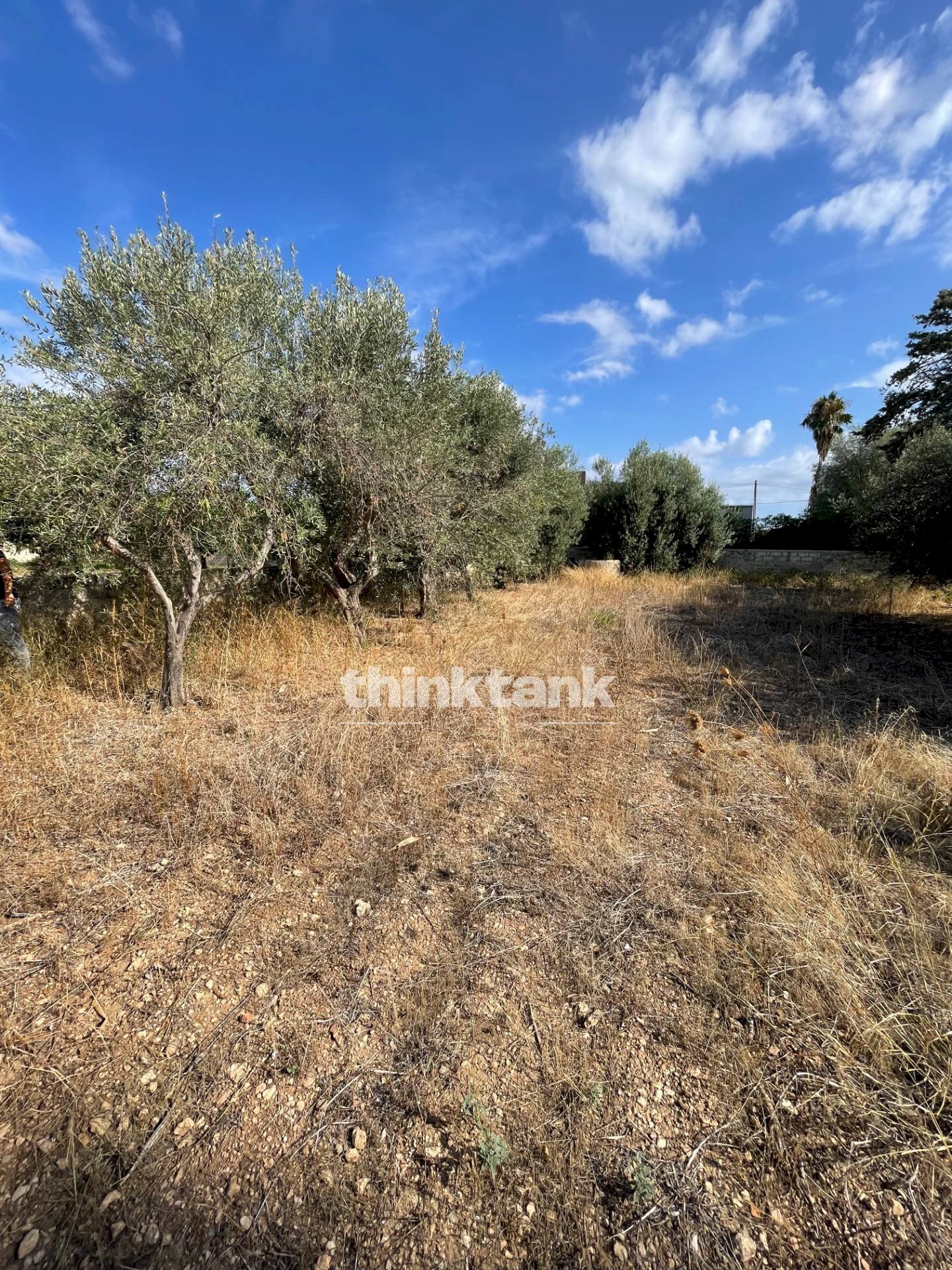 Foto 2 - Terreno edificabile via dell'iride, Siracusa - foto 2