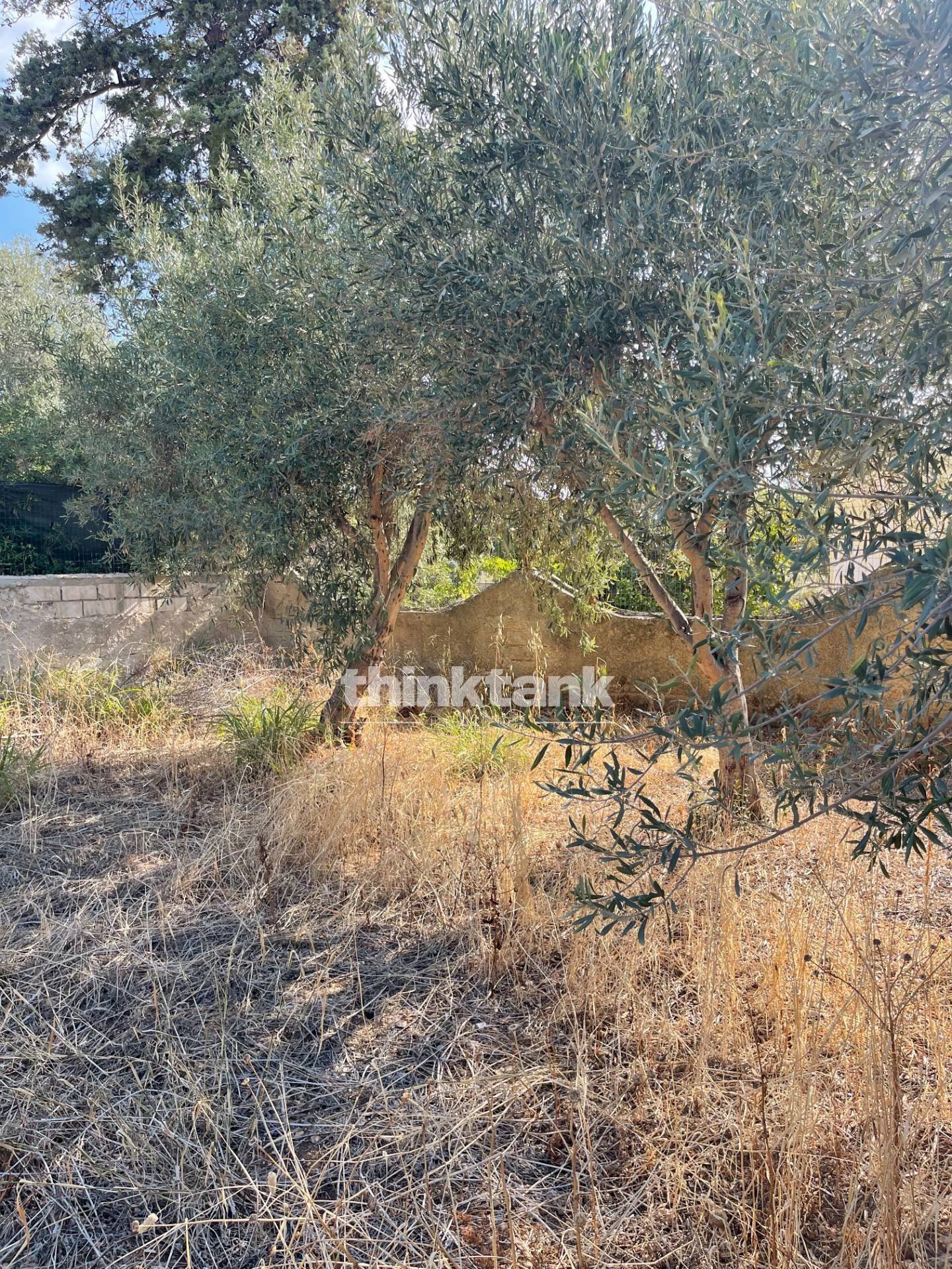 Foto 3 - Terreno edificabile via dell'iride, Siracusa - foto 3